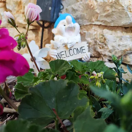 Casa de Férias The Old Stone House Dida Jure