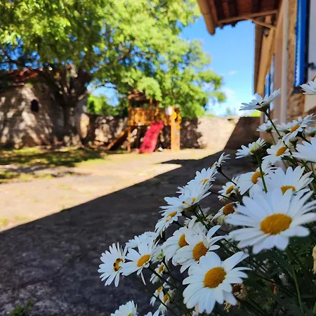The Old Stone House Dida Jure Casa de Férias *