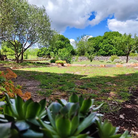 The Old Stone House Dida Jure Casa de Férias *