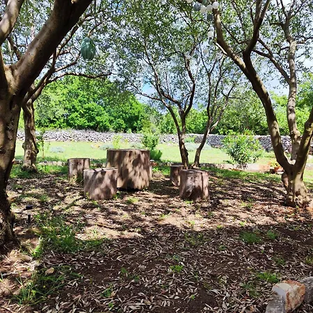 Casa de Férias The Old Stone House Dida Jure