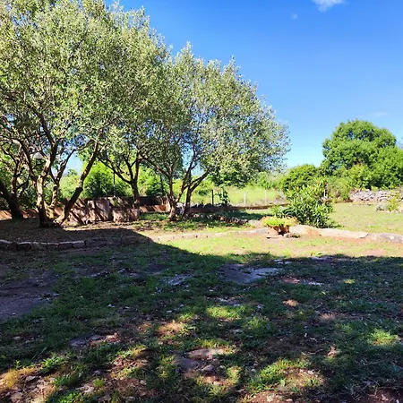 Hébergement de vacances The Old Stone House Dida Jure *