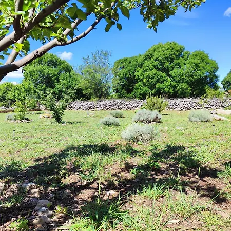 The Old Stone House Dida Jure * Pridraga