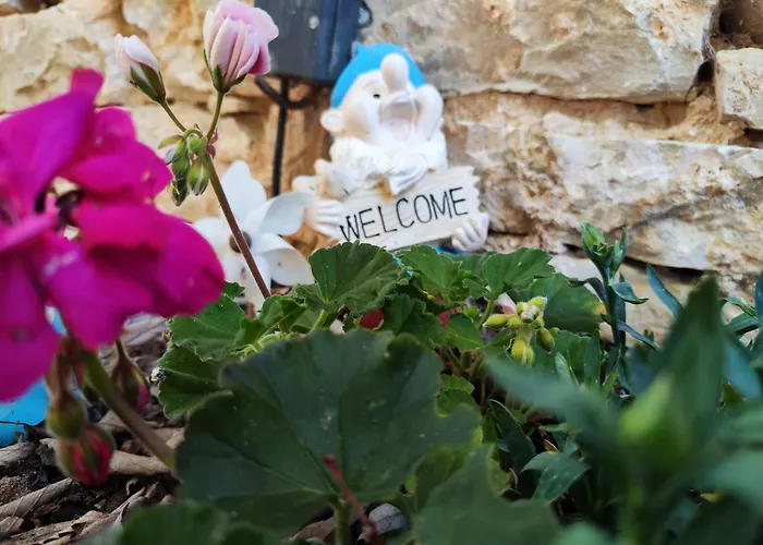 Vakantiehuis The Old Stone House Dida Jure