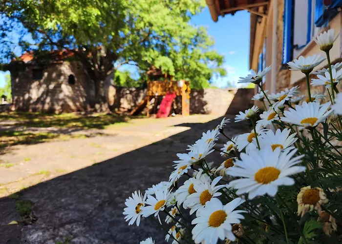 The Old Stone House Dida Jure 펜션 *