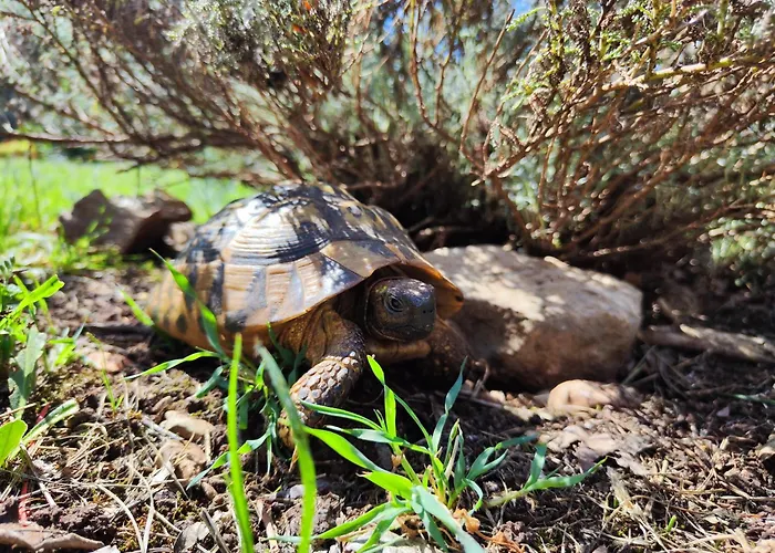 펜션 The Old Stone House Dida Jure Pridraga
