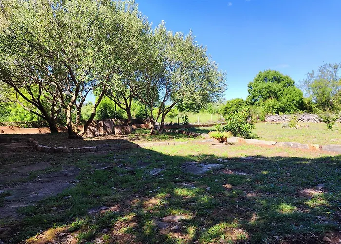 펜션 The Old Stone House Dida Jure *