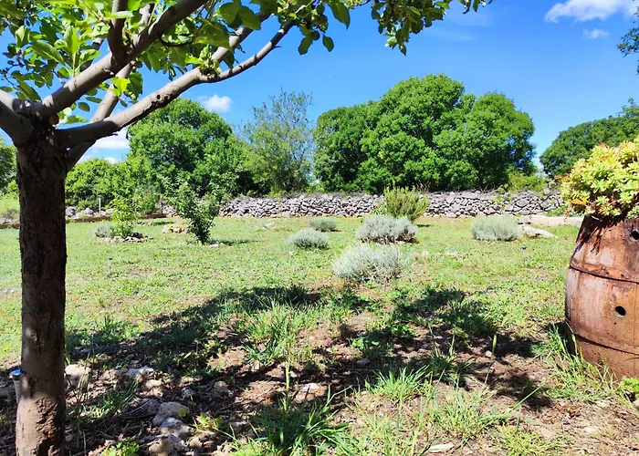 The Old Stone House Dida Jure * Pridraga